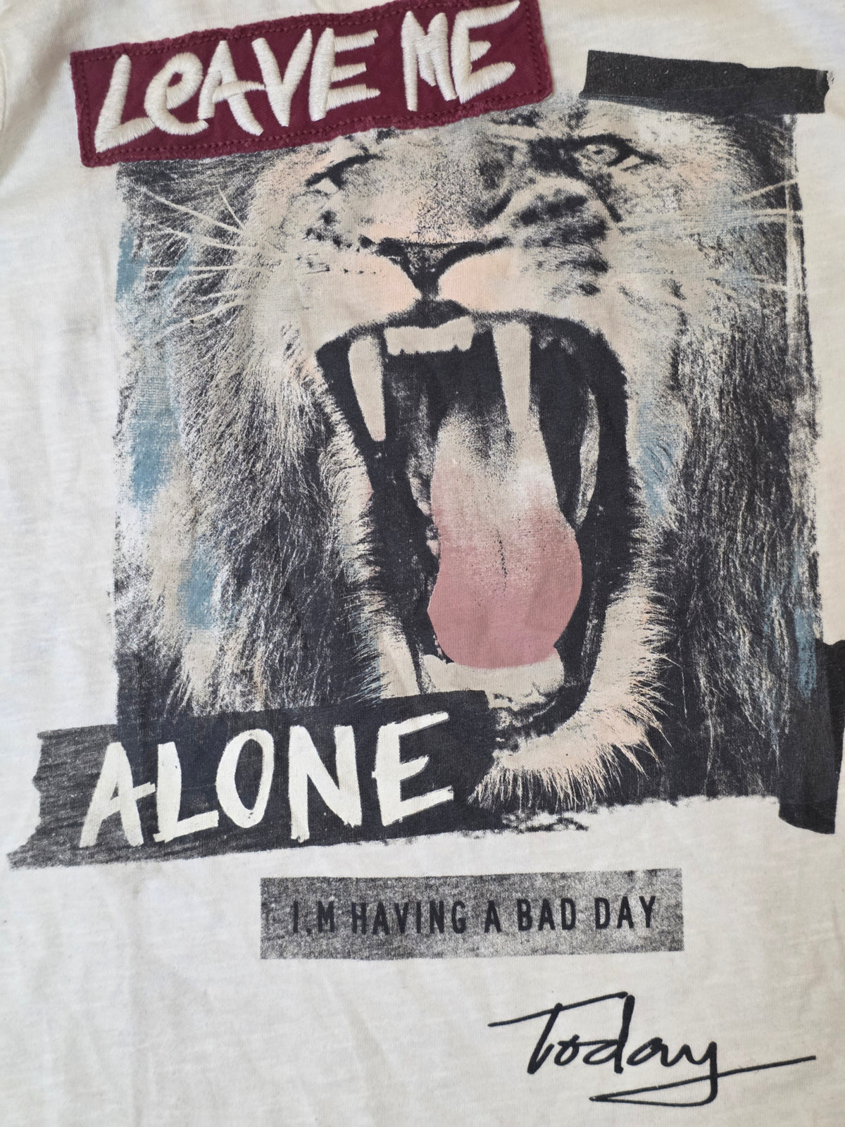ZARA Lion Graphic Long-Sleeve T-Shirt
