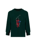 Polo Ralph Lauren Big Pony Check Cotton Long Sleeve T-Shirt