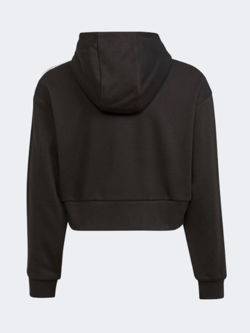 Adidas Adicolor Ps Original Hoody