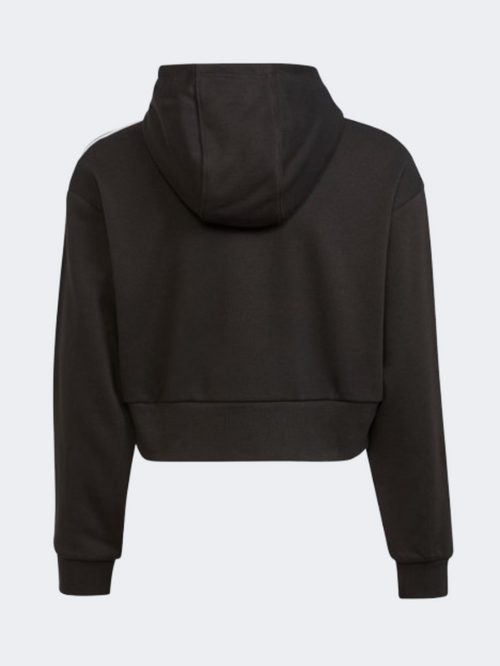 Adidas Adicolor Ps Original Hoody